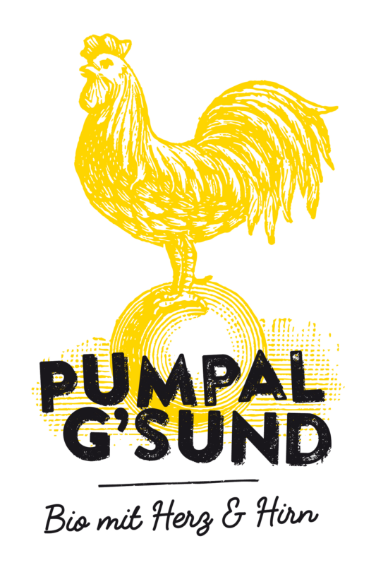 PumpalG'sund Logo